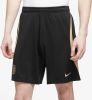 Nike Chelsea FC Strike knit voetbalshorts met Dri FIT voor heren Zwart online kopen