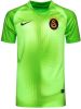 Nike Kids Galatasaray 2022/23 Goalkeeper Nike Dri FIT voetbaltop met korte mouwen voor kids Groen online kopen