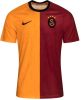 Nike Galatasaray 2022/23 Thuis Dri FIT voetbaltop met korte mouwen voor heren Vivid Orange/Vivid Orange/Pepper Red/Vivid Orange Heren online kopen