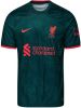 Nike Kids Liverpool FC 2022/23 Stadium Derde Nike Dri FIT voetbalshirt voor kids Groen online kopen