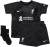 Nike Liverpool FC 2022/23 Goalkeeper Voetbaltenue voor baby's Grijs online kopen