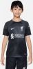Nike Kids Liverpool FC 2022/23 Stadium Goalkeeper Nike Dri FIT voetbalshirt voor kids Grijs online kopen