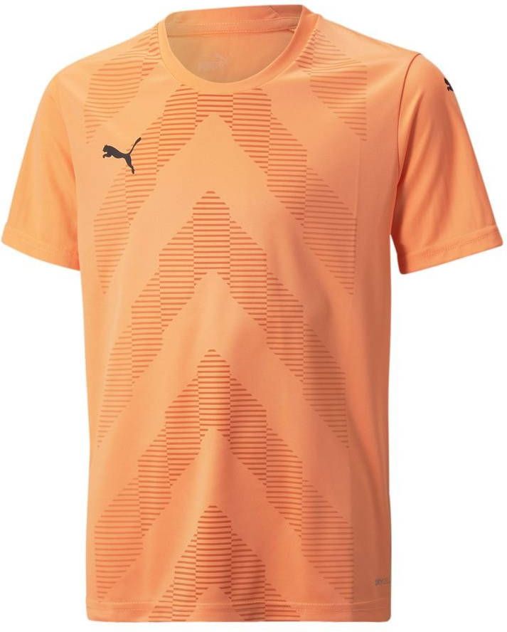 PUMA Voetbalshirt teamGLORY Oranje Kinderen