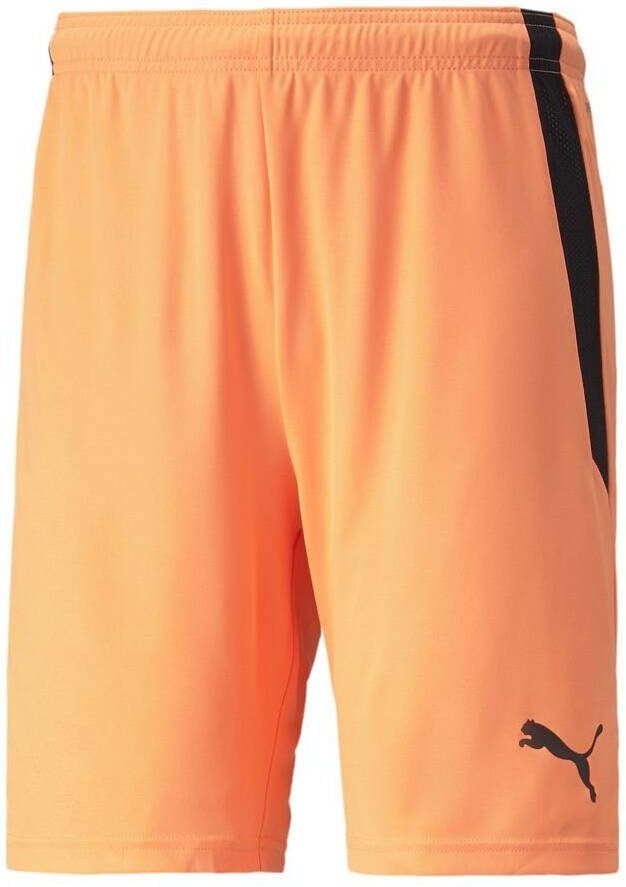 PUMA teamLIGA Shorts