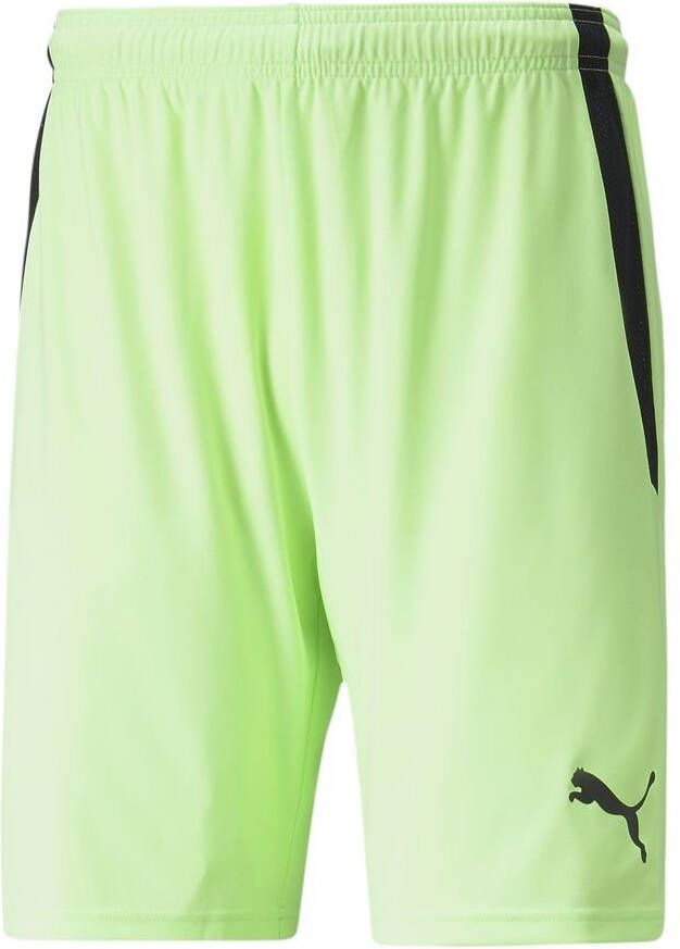 PUMA teamLIGA Shorts