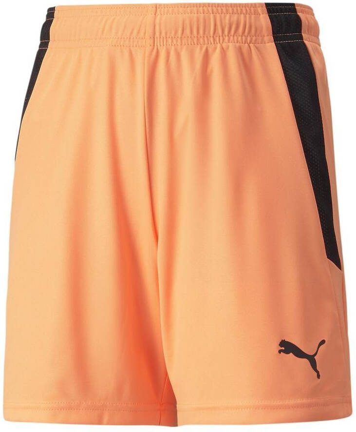 PUMA teamLIGA Shorts Jr