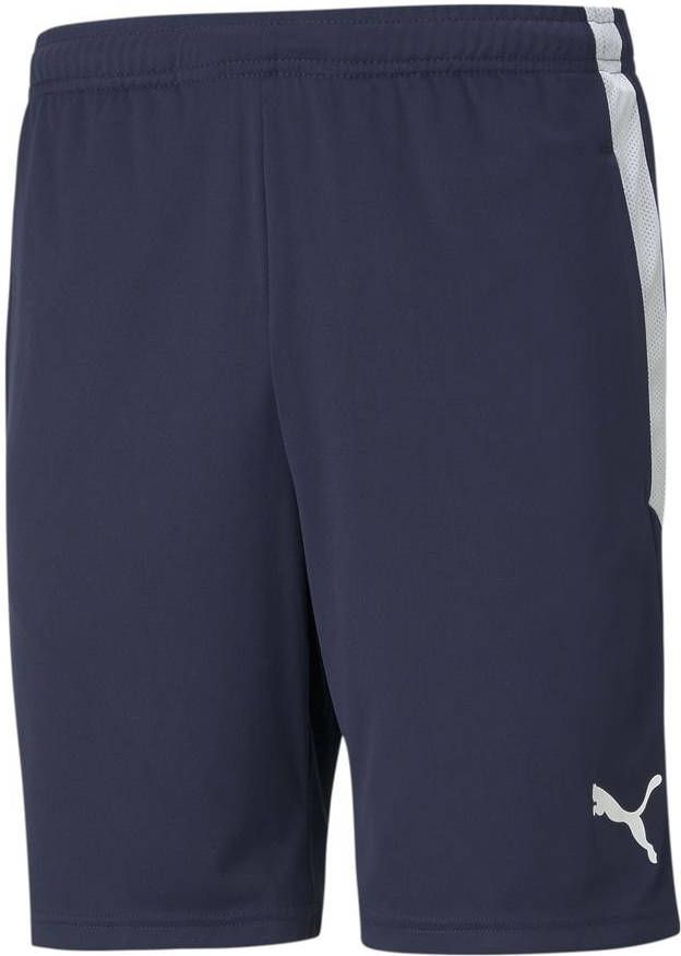 PUMA teamLIGA Training Shorts