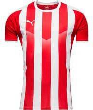 PUMA Voetbalshirt LIGA Striped Rood/Wit