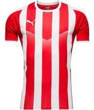 PUMA Voetbalshirt LIGA Striped Rood/Wit Kinderen