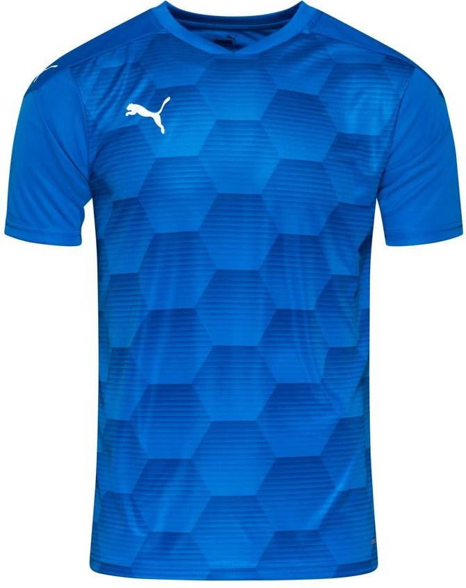 PUMA Voetbalshirt teamFINAL 21 Graphic Blauw/Blauw