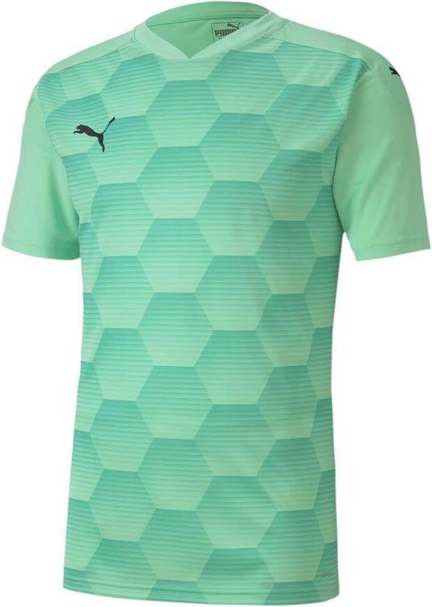 PUMA Voetbalshirt teamFINAL 21 Graphic Groen