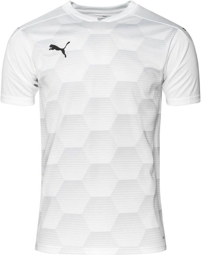 PUMA Voetbalshirt teamFINAL 21 Graphic Wit/Grijs Kinderen
