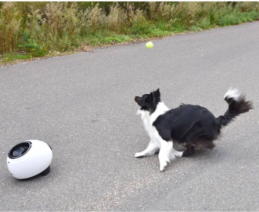 FLAMINGO Balwerper met tennisballen Elton interactief 33x24x29 cm