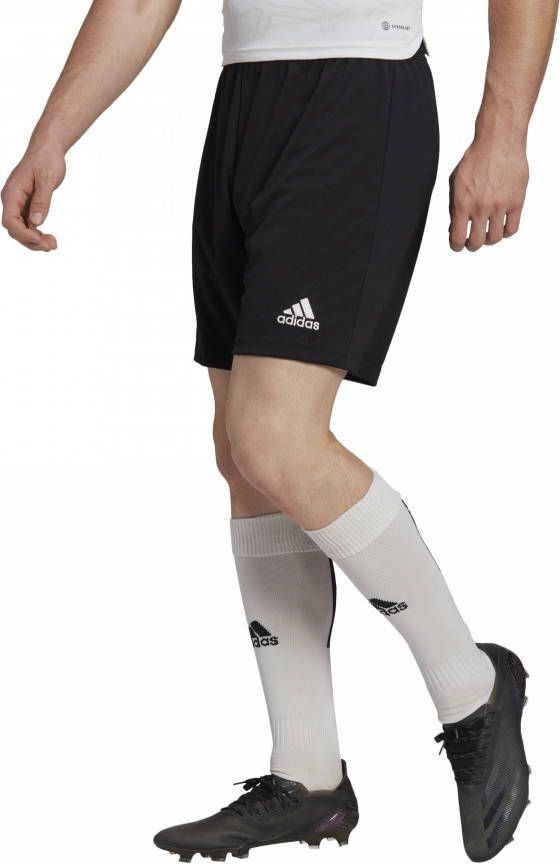 Adidas Voetbalshort Voor Volwassenen Entrada 22 Zwart online kopen
