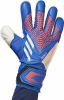 Adidas Keepershandschoenen Predator Match Sapphire Edge Donkerblauw/Rood/Wit online kopen
