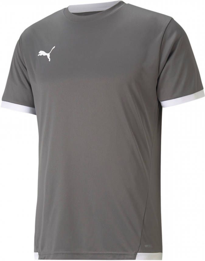 PUMA teamLIGA Voetbalshirt Kids Grijs Wit
