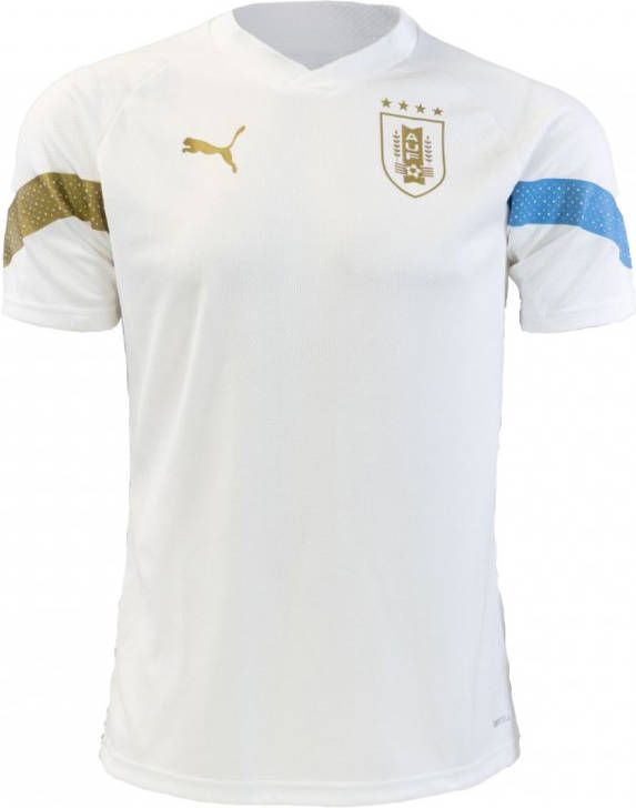 PUMA Uruguay Trainingsshirt 2022 2024 Zilver Blauw